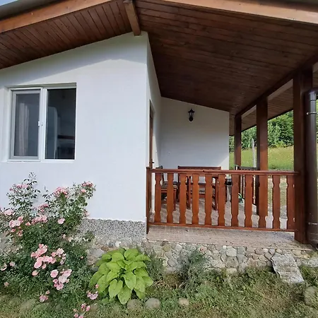 Savayatribe Guest house