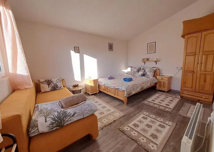 Guest house Savayatribe *